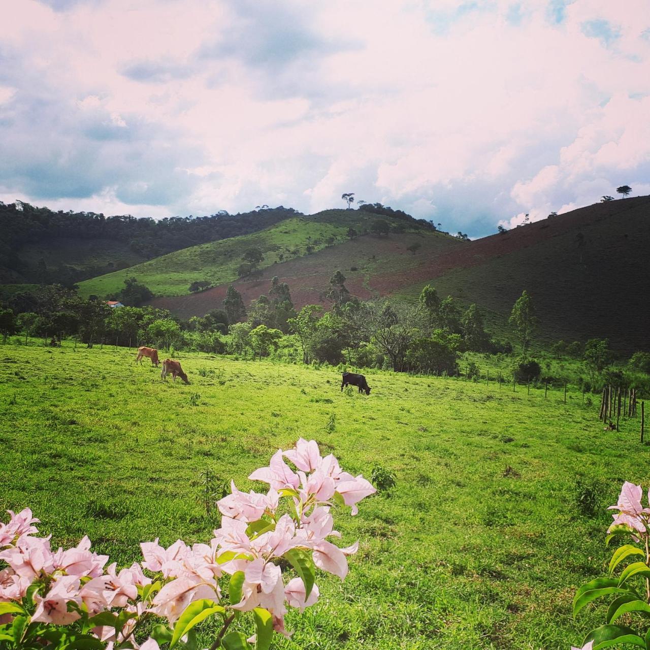 Pousada Chales Dos Montes Santana dos Montes Eksteriør bilde